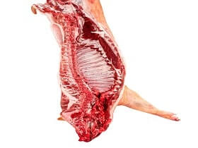 تصدير ذبائح لحم الخنزير البرازيلي